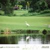 Golf2026_RCCAQ_parcours35.jpg