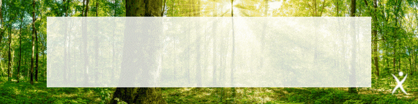 Liaison_/Gif_soluflex_gif_FR.gif